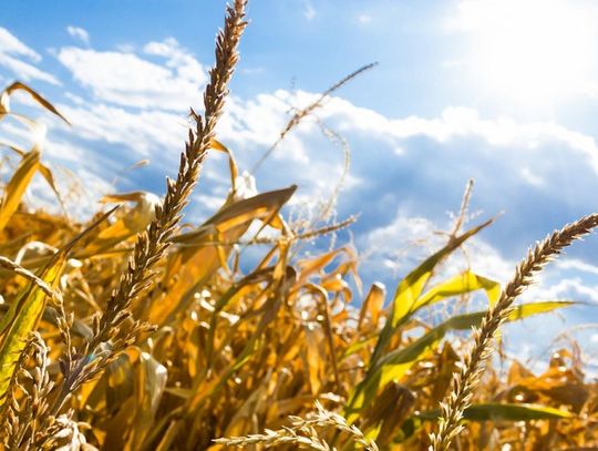 Nowe stacje meteo na Mazowszu. Ruszył nabór wniosków