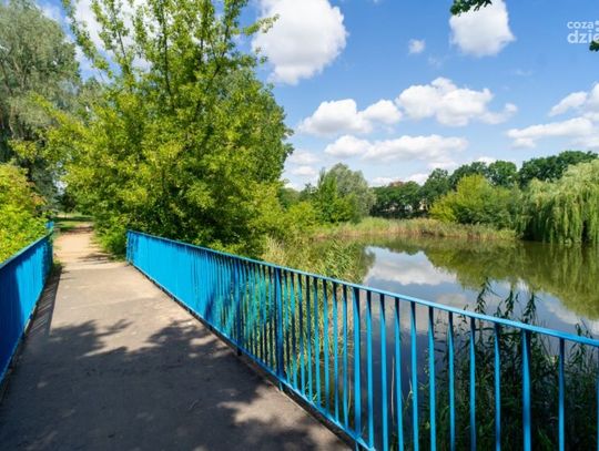 Nowy park botaniczny w Ciechanowie dzięki dofinansowaniu z UE!