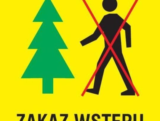 Okresowy zakaz wstępu! Teraz nie wejdziemy legalnie do lasów w regionie