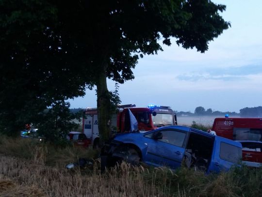 Osobówka uderzyła w drzewo w Karniewie
