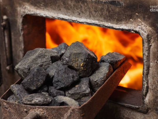 Oszustwo na portalu ogłoszeniowym: mieszkaniec Ciechanowa stracił 1300 zł
