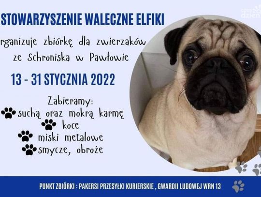 Pakersi łączą siły z Walecznymi Elfikami-wszystko z myślą o psach