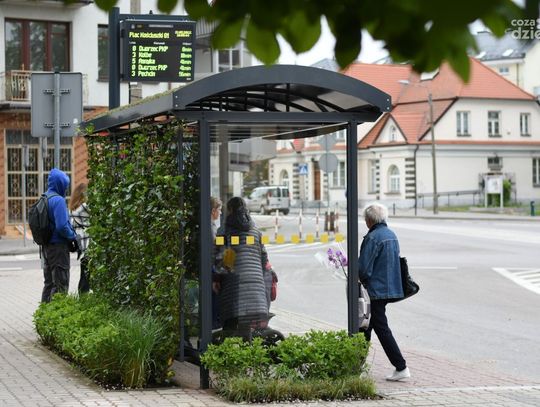 Pierwszy TAKI w Ciechanowie. Na placu Kościuszki pojawił się zielony przystanek