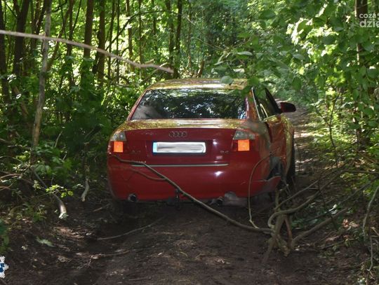 Pijany kierowca Audi spowodował kolizję i uciekł do lasu