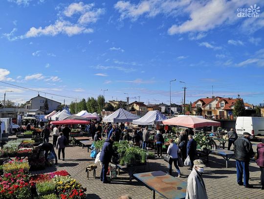 Płońsk. Małe targowisko przejdzie metamorfozę