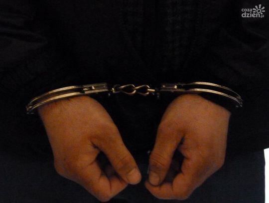 Pójdą siedzieć za wycinkę? Policja zatrzymała 3 osoby 