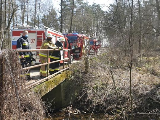 Postawił służby na baczność- teraz za to zapłaci