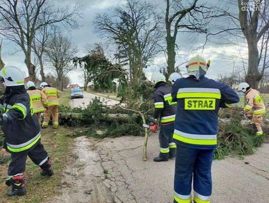 Powiat mławski po wichurze. Ponad 160 interwencji strażaków