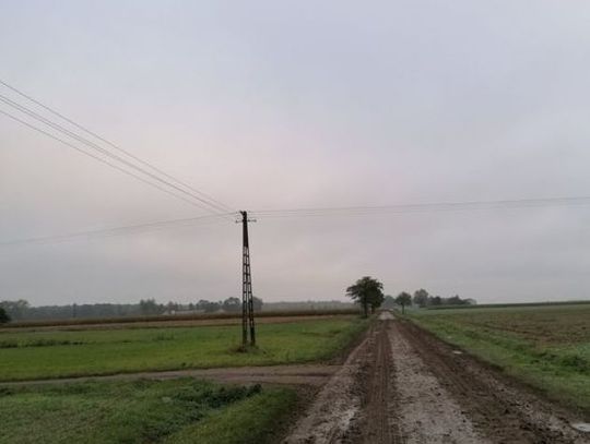 Powiatowy Zarząd Dróg w Ciechanowie apeluje do rolników!