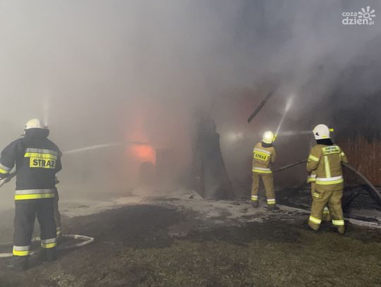 Pożar pod Strzegowem. W akcji gaśniczej jednostki z 6 miejscowości!