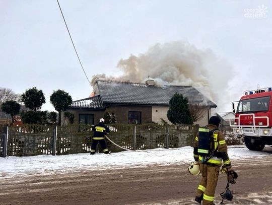 Pożar w Proszkowie: Dwie rodziny straciły dom, szczęśliwie bez ofiar