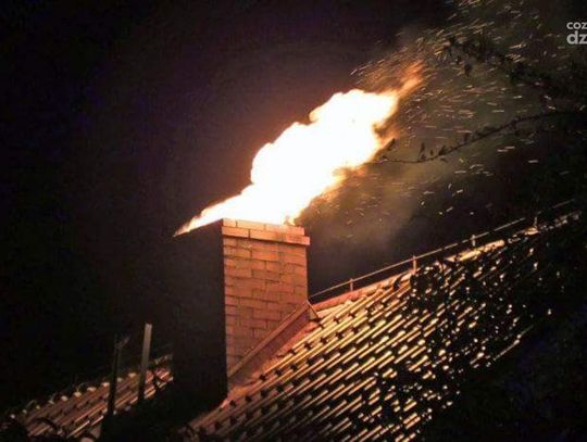 Pożar w Szyjkach. Zapaliły się sadze