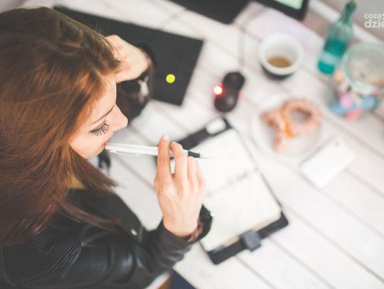 Praca w Ciechanowie: 22 aktualne oferty pracy od Powiatowego Urzędu Pracy (20 grudnia)