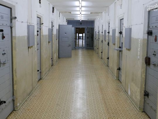 Próbował ukraść alkohol. Trafił do aresztu 