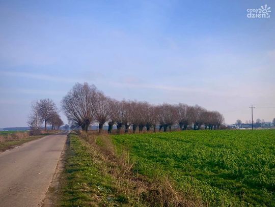 Przebudowa drogi Opinogóra-Długołęka. Łączna wartość inwestycji to blisko 5 mln zł.