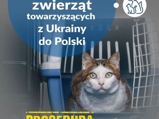 Przemieszczanie się zwierząt z uchodźcami monitoruje m.in. Powiatowy Inspektorat Weterynaryjny w Ciechanowie