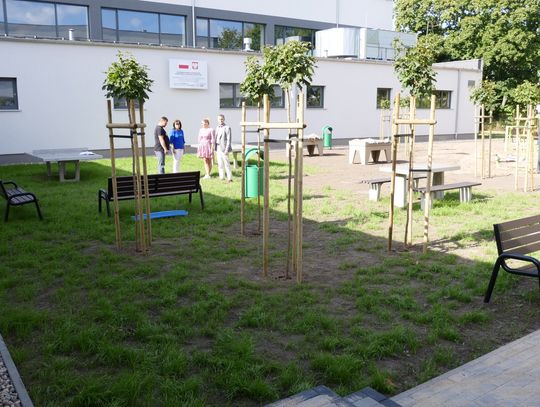 Przy mławskim „Ekonomiku” powstaje teren rekreacyjny dla młodzieży