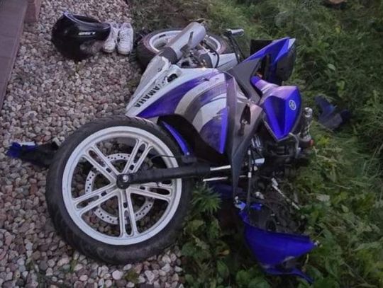 Psy wybiegły na drogę, 16-latek trafił do szpitala