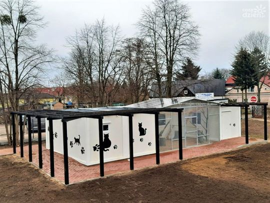 "Radosny Kot" zamruczy po świętach!
