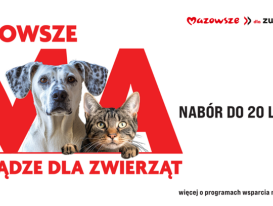 Jest czas do 20 lutego. Samorząd Mazowsza pomaga bezdomnym zwierzętom