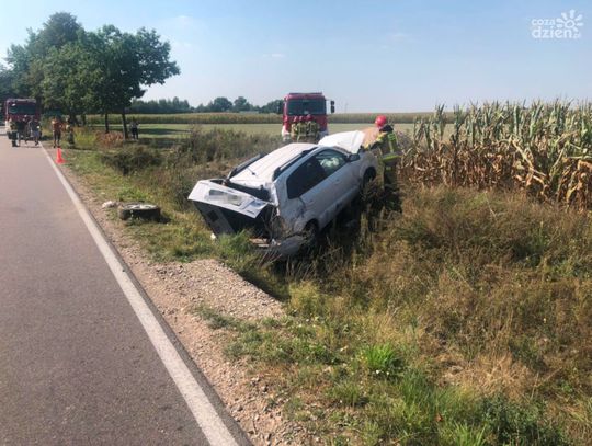 Sarna na drodze, samochód dachuje