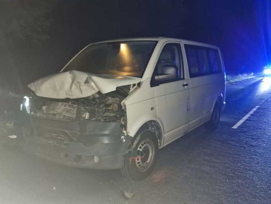 Sarna pod kołami – kolejne wypadki w powiecie makowskim