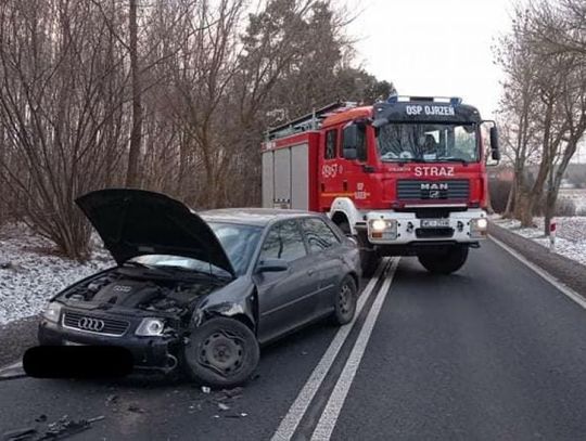 Sarna przyczyną czołówki między Ojrzeniem i Kraszewem