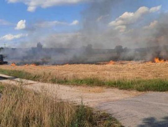 SPEED nie tylko od piratów drogowych