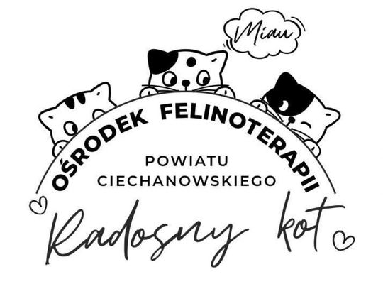 Starostwo kontra Pies i Spółka - kto ma rację?
