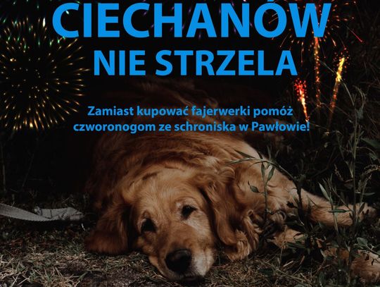 Strzelać czy nie strzelać? Miasto odpowiada: Zamiast kupować fajerwerki pomóż czworonogom