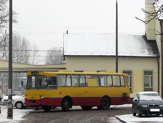 Świąteczny rozkład jazdy autobusów w Ciechanowie