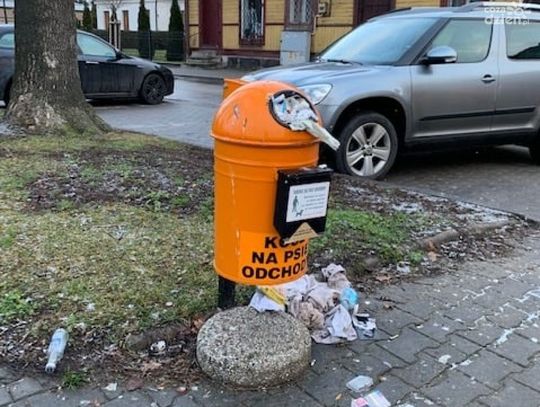 Tak wygląda kosz na psie odchody w Raciążu. Burmistrz: Ręce opadają