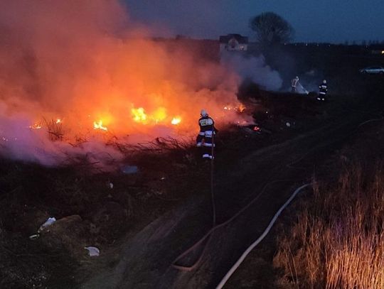 To nie był spokojny początek tygodnia dla strażaków! 