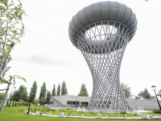 Torus "wygumkowany" przez ministerstwo