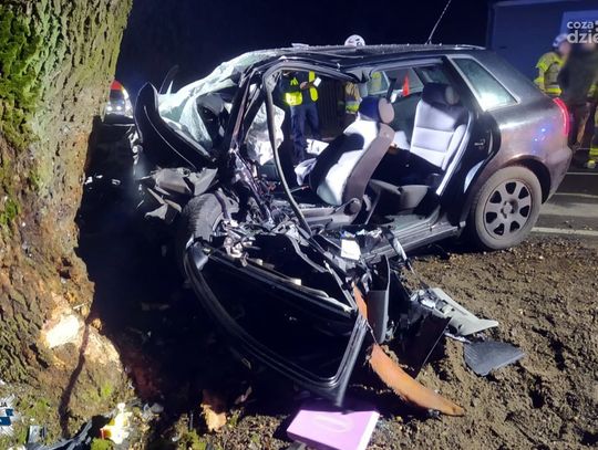 Tragiczne zdarzenie w Trzciance. Wypadek na drodze Mława-Ciechanów
