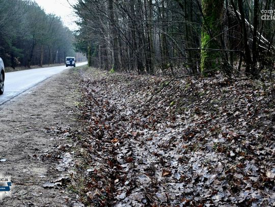 Tragiczny wypadek na drodze relacji Windyki-Mława: Kierowca zasłabł za kierownicą
