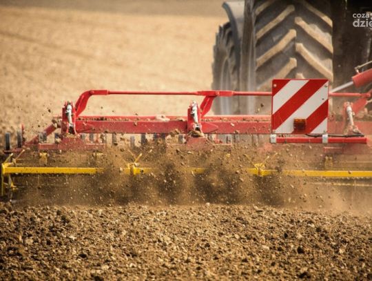 U sąsiadów. 9-latek ranny na polu