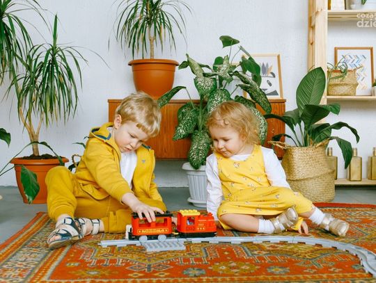 Ubranka dla dziewczynek - wybitnie popularne filmy animowane