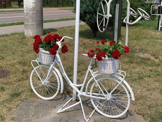 Ukwiecone rowerowe drogowskazy w Przasnyszu