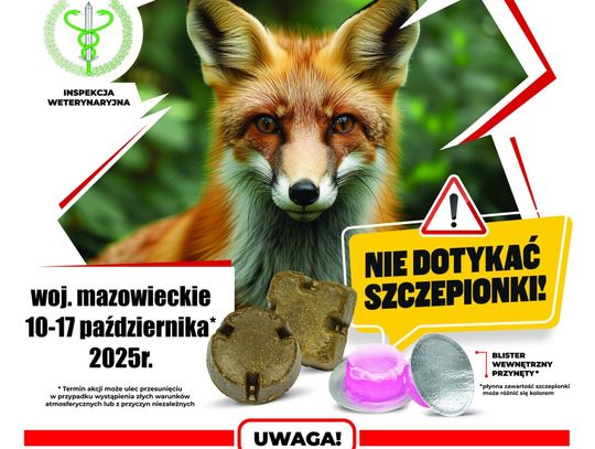 UWAGA! 10 października ruszy szczepienie lisów przeciw wściekliźnie. Nie dotykaj przynęt