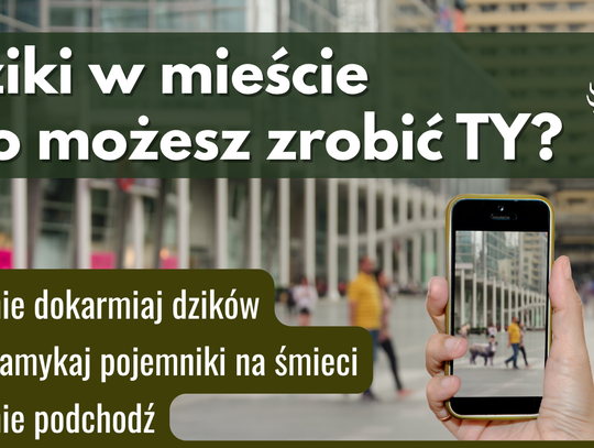 W miastach coraz częściej pojawiają się dzikie zwierzęta