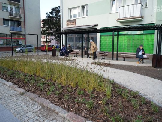 Więcej zieleni w centrum Ciechanowa. Powstał kolejny mini park