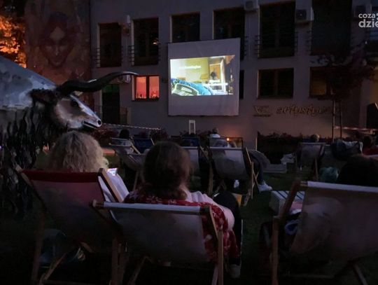 Wkrótce wystartuje „Kino leżakowe”