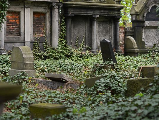 "Wolontariat Pamięci" znów w akcji. W weekend wesprzyj renowację nagrobków zasłużonych ciechowian. "Wolontariat Pamięci" znów w akcji. W weekend wesprzyj renowację nagrobków zasłużonych ciechowian.