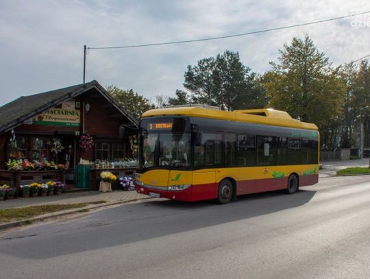 Wszystkich Świętych. Znamy rozkłady autobusów ZKM