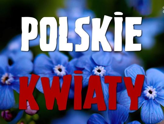 Wydarzenie "Polskie Kwiaty" w Ciechanowie
