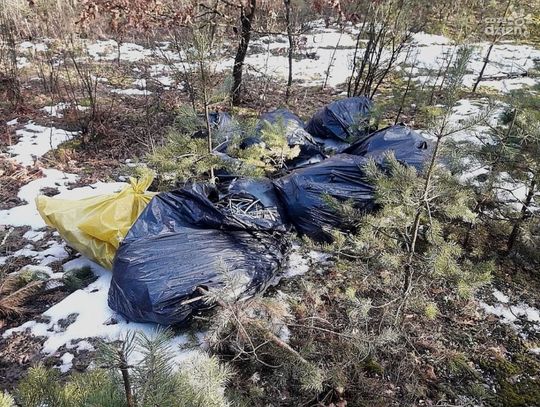 Wyrzucił do lasu gumowe osłony kabli. Zapłacił 1000 zł mandatu!