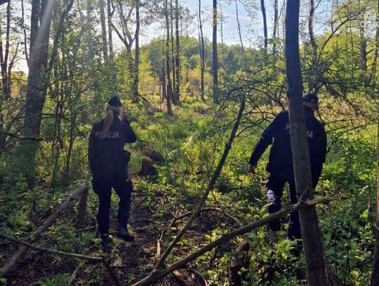 Zaginęła 16-letnia Maja Kowalska z Mławy. Wciąż trwają poszukiwania