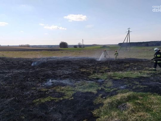 Zatrute dziecko w pożarze traw