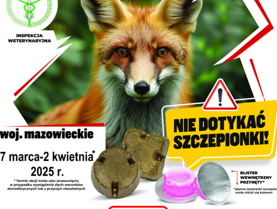 Zbliża się akcja szczepienia lisów wolnożyjących. 
